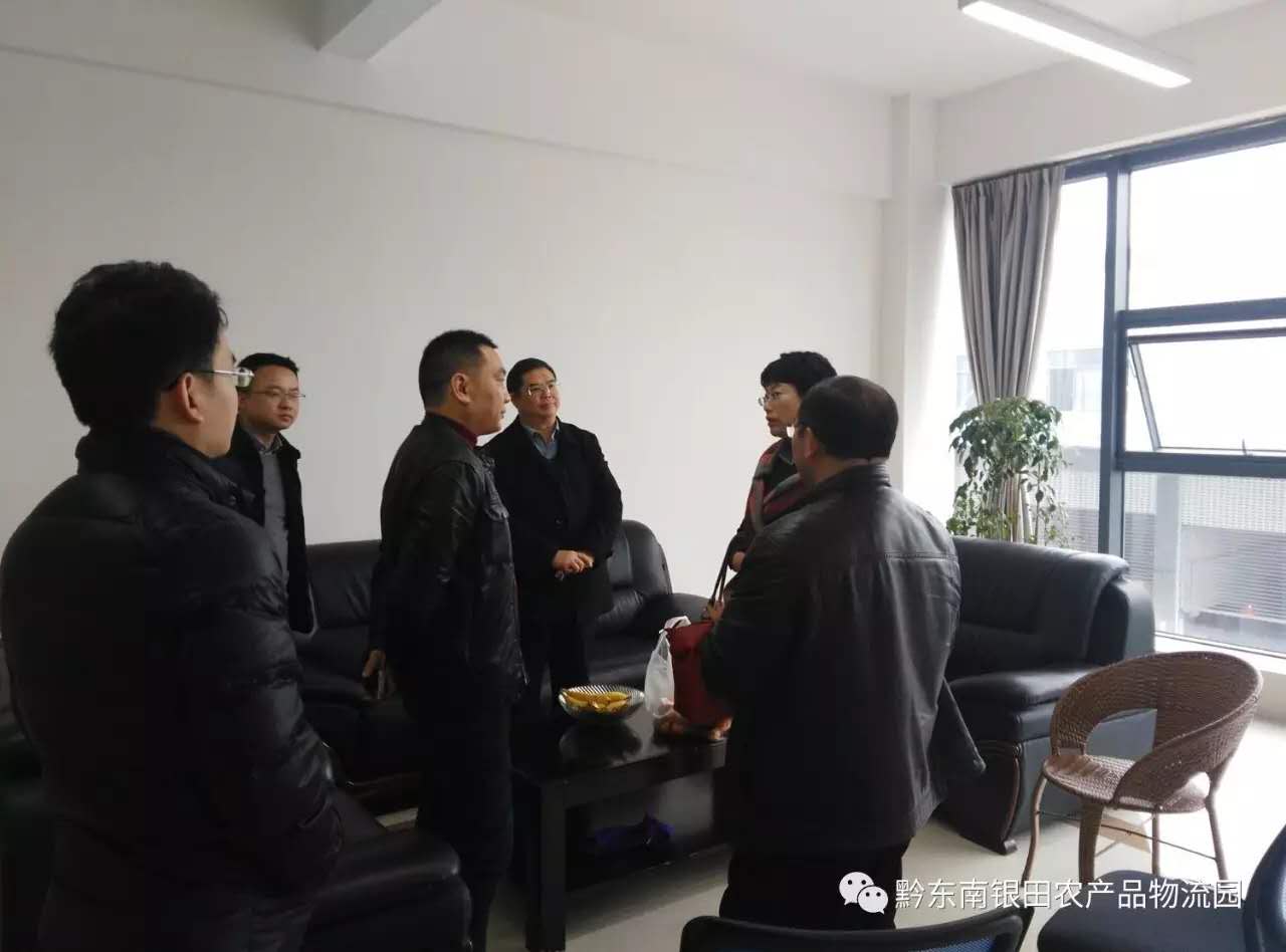 中國(guó)薯網(wǎng)董事長(zhǎng)冮麗華一行赴黔東南銀田農(nóng)產(chǎn)品物流園考察