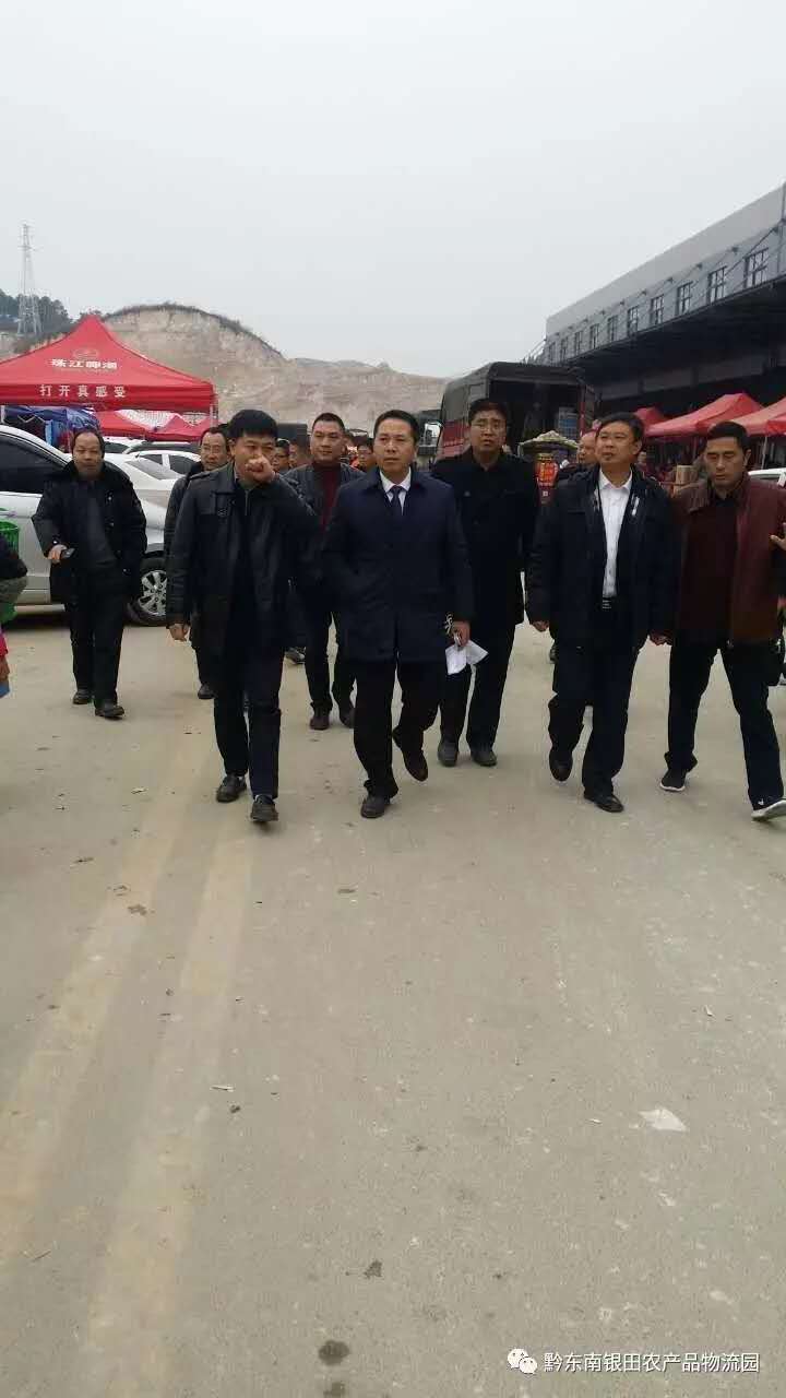 凱里市羅杰市長一行赴銀田農(nóng)產(chǎn)品物流園考察