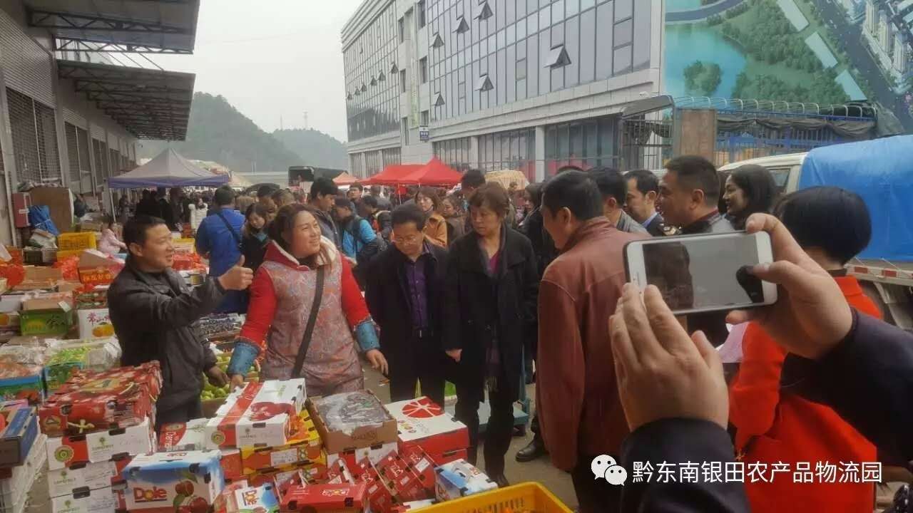 黔東南州劉曉春副州長率隊前往銀田農(nóng)產(chǎn)品物流園視察