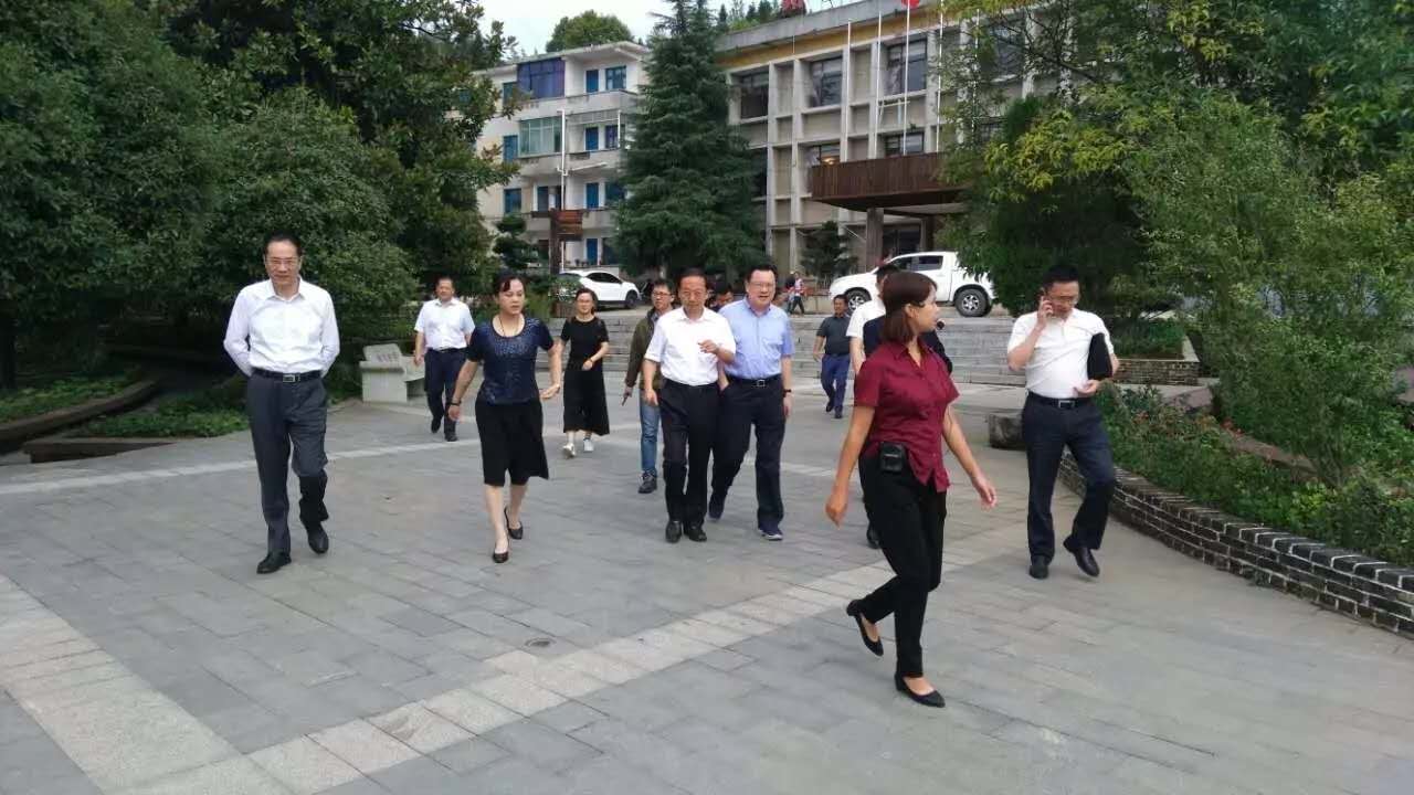 蘇州市政府副市長金潔一行到朱砂古鎮(zhèn)調(diào)研并指導(dǎo)工作
